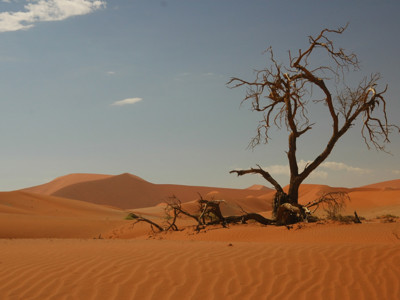 Route Namibië - 20-daagse reis - Dag 4