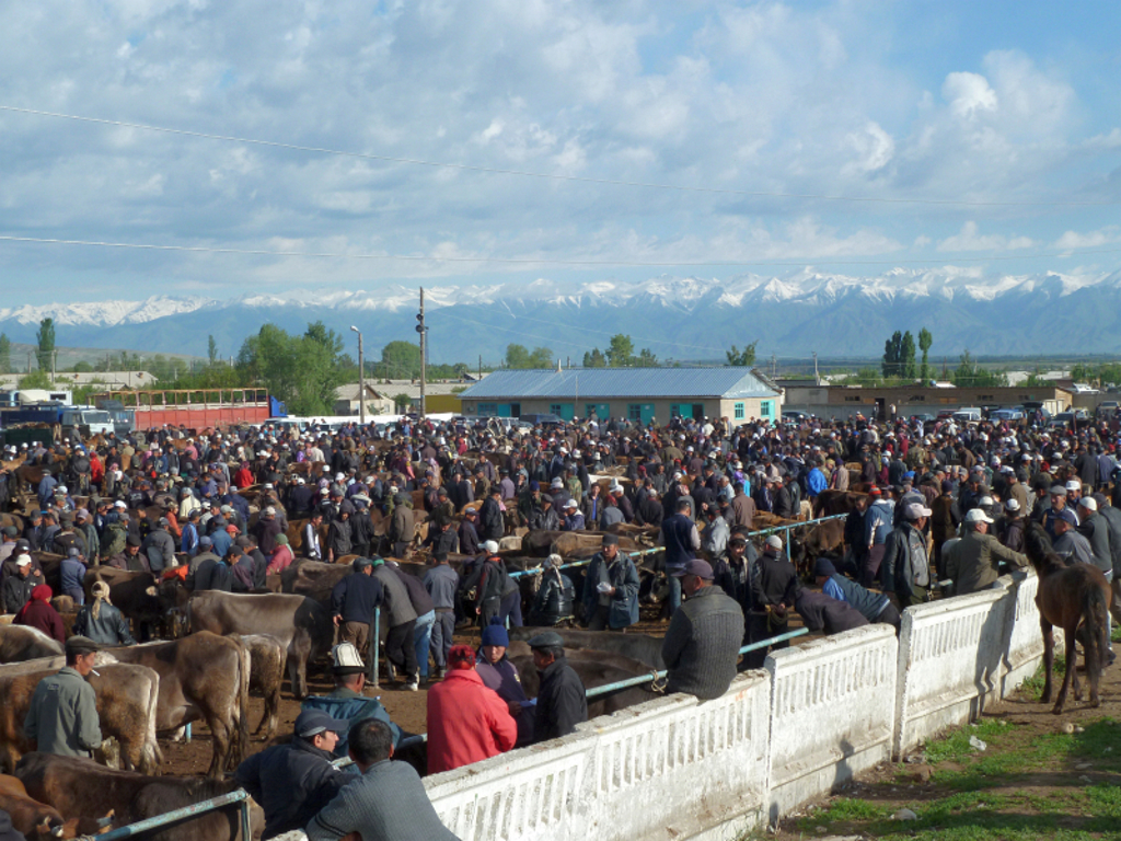 Zondagsmarkt Karakol