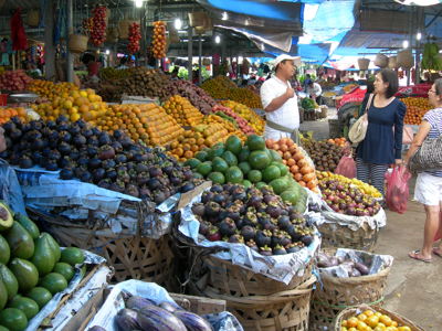 Route Sumatra, Java en Bali, 23 dagen - Day 4