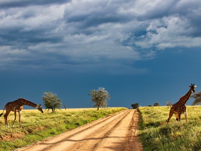 Oost-Afrika familiereis - Dag 7