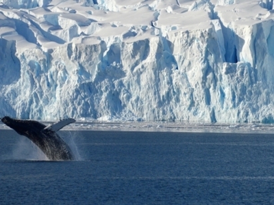 Route Antarctica: Crossing the Circle, 14 dagen - Dag 5