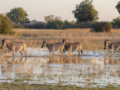 Route Johannesburg - Kaapstad, 17 dagen - Dag 4