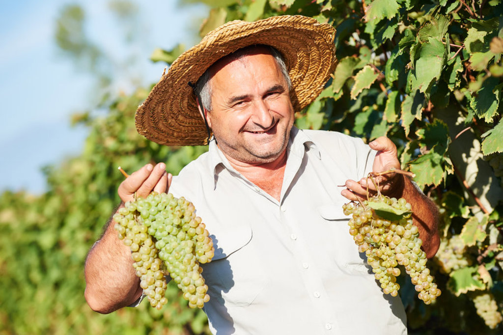 main_shutterstock_wijnboer.jpg