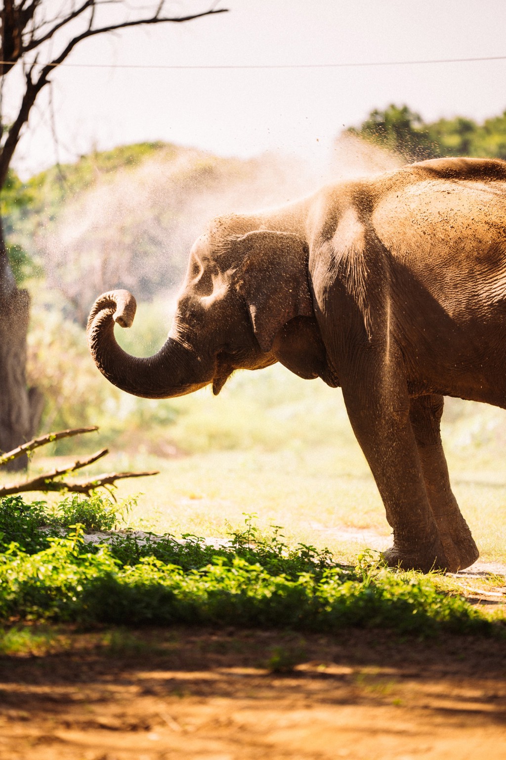 Groepsrondreis Thailand Hoogtepunten