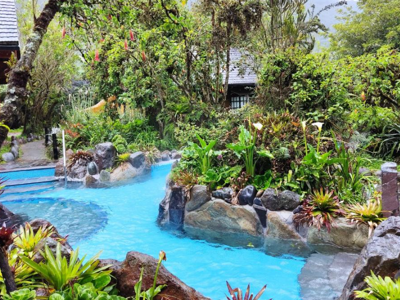 Route Ecuador en Galapagos, 22 dagen - Day 5