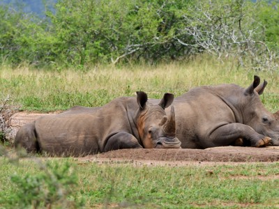 Nepal 22-35, 18 dagen - Day 13