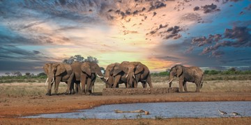 Groepsrondreis Kenia, Tanzania en Zanzibar