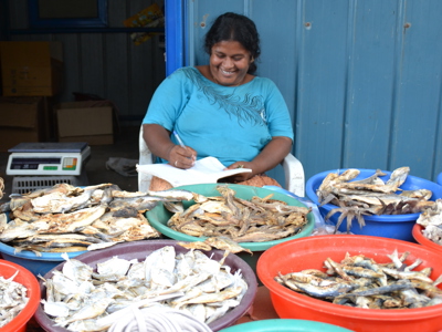 Route Sri Lanka reis, 17 dagen - Day 3