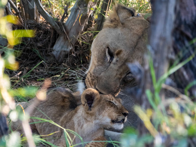 Route Kaapstad - Johannesburg - Dag 18