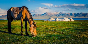 Groepsrondreis Kirgistan (Kirgizië)