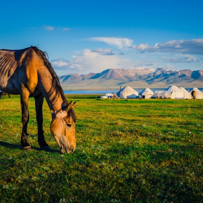 Groepsrondreis Kirgistan (Kirgizië)