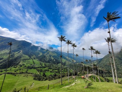 2025 Route Colombia, 23 dagen oud - Day 9