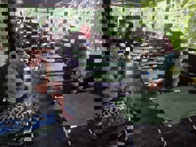 Accommodatie Lesan NP