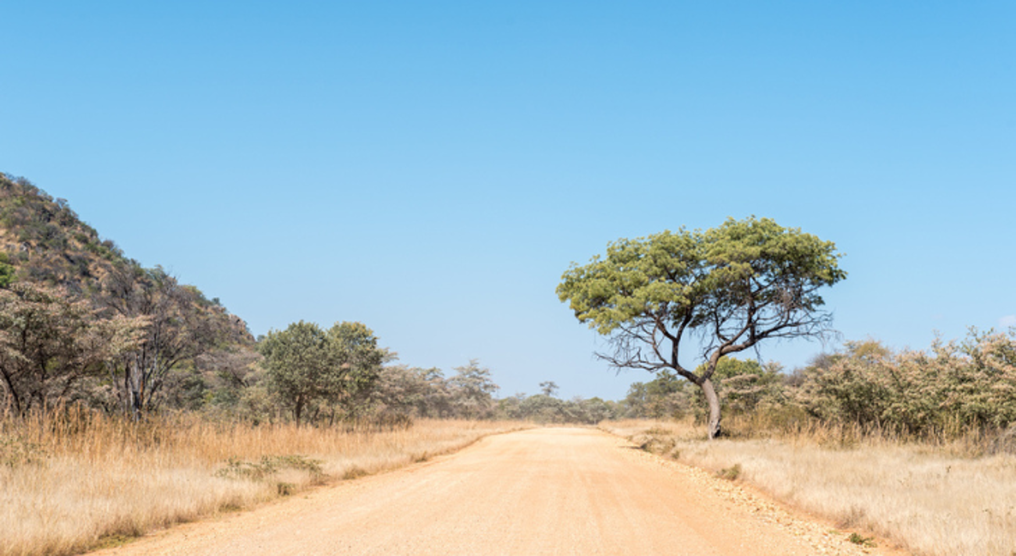 Omgeving van Grootfontein, Namibië Omgeving van Grootfontein, Namibië