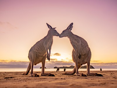 Route Australië, 22 dagen - Day 21