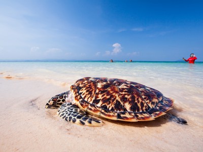 Thailand 22-35, 19 dagen - Day 14