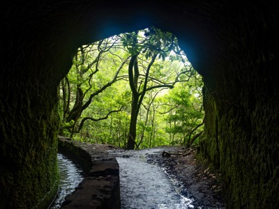 Route Madeira, Lissabon en Lagos, 12 dagen - Day 2