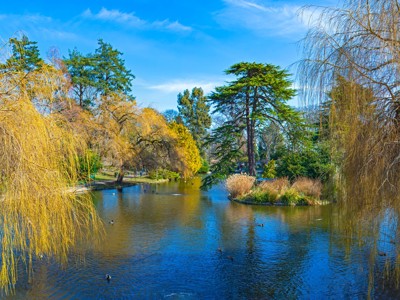 Route Canada Hotelreis, 15 dagen, 2025 - Day 11