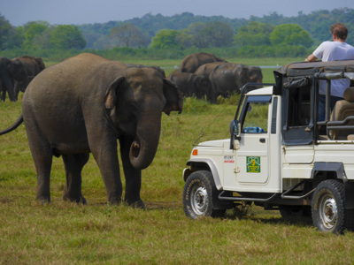 22-35ers reis Sri Lanka - Day 8