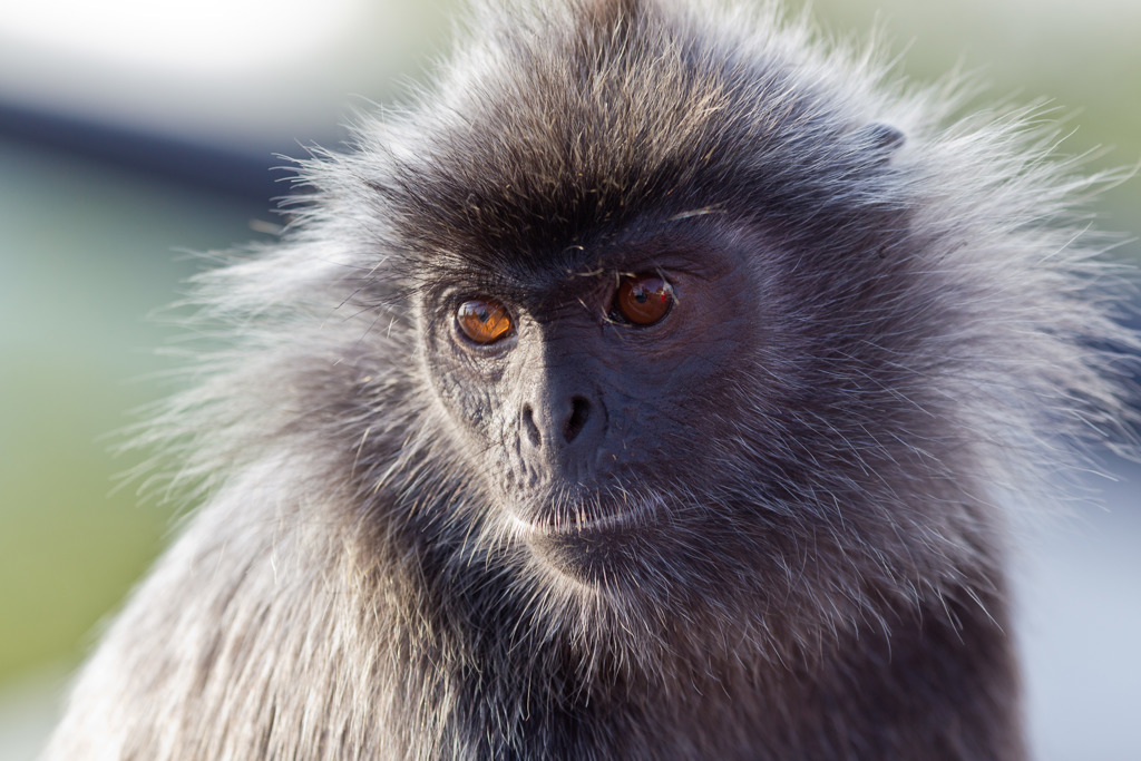 Groepsrondreis Singapore, Maleisië & Thailand