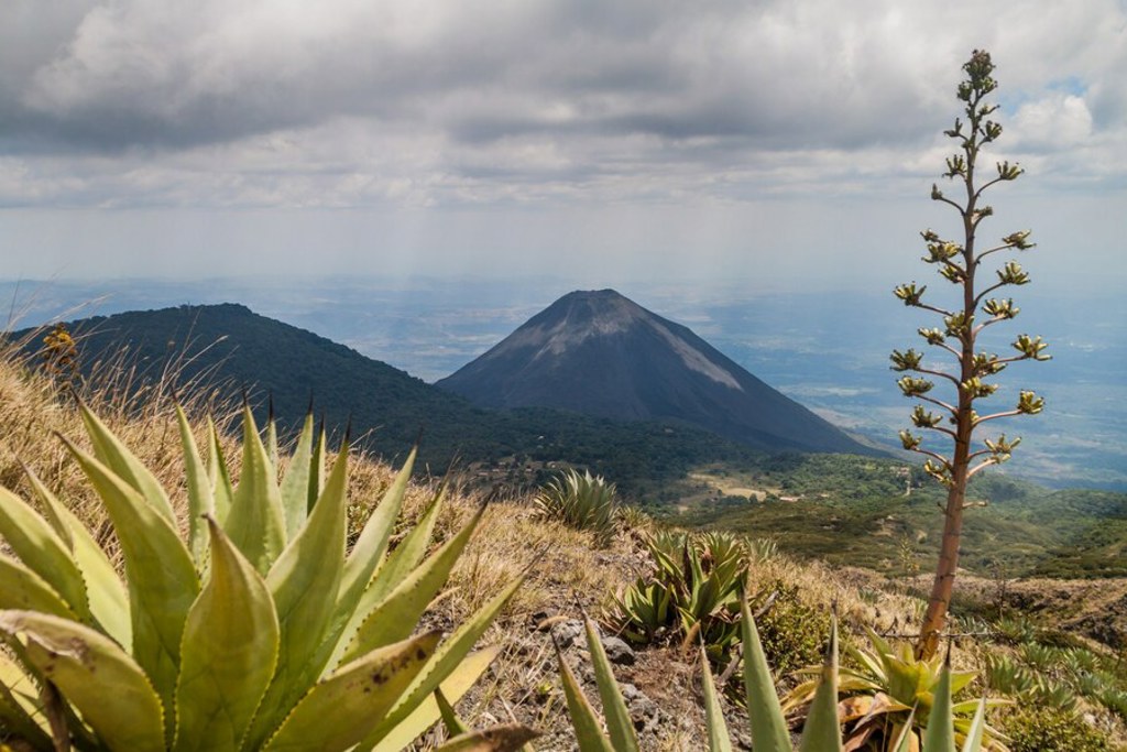main_Cerro_verde_NP.jpg