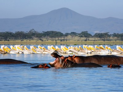 Kenia, Tanzania en Zanzibar, 22 dagen - Dag 8