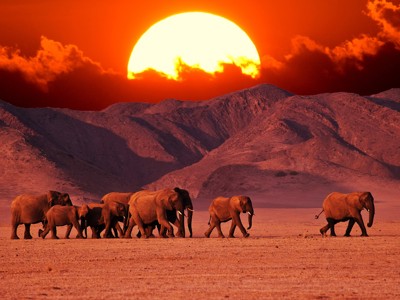 Route Windhoek - Vic Falls - Day 13