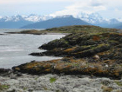 Festivalreis, 34 dagen - Dag 10