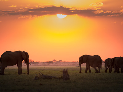 Route Windhoek - Vic Falls - Day 19