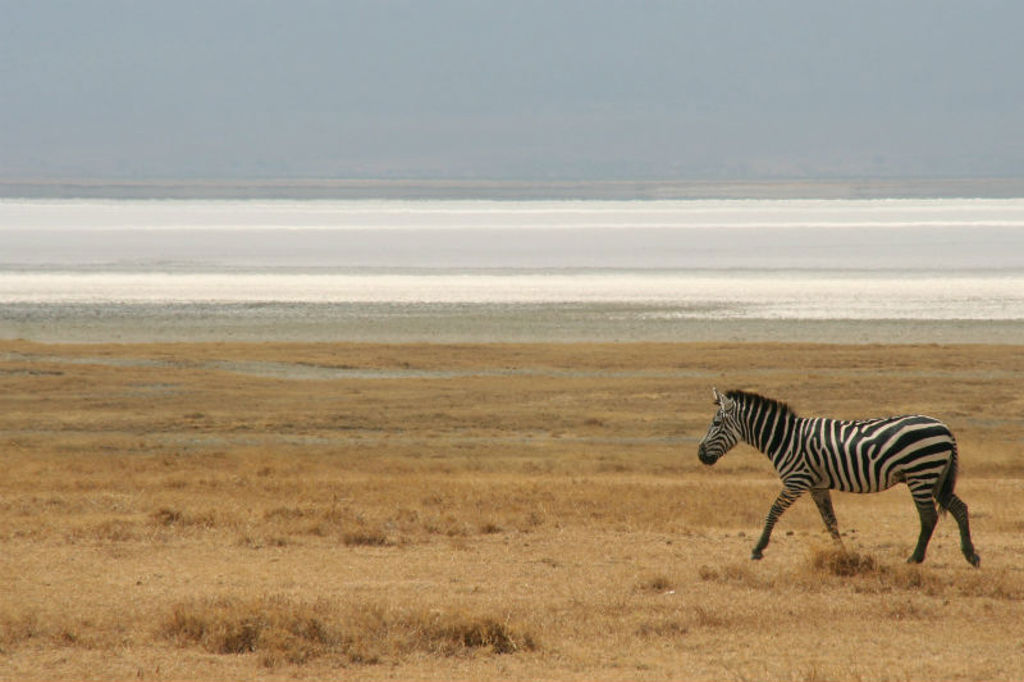 Rondreis Kenia en Tanzania