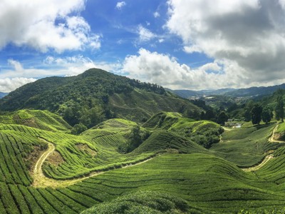 Route West Maleisië & Borneo, 19 dagen - Dag 11