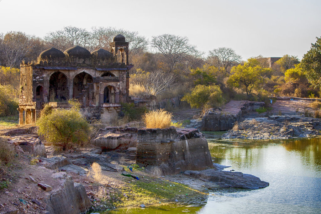main_Ranthambore.jpg