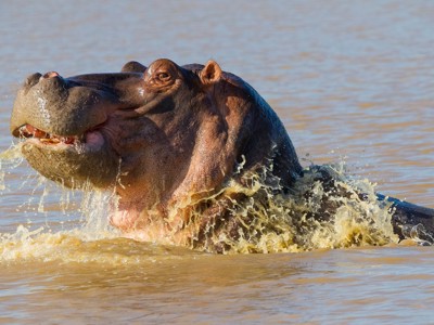 Route Zuid-Afrika, 16 dagen - Dag 4