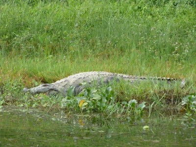 Route Nepal, 17 dagen - Dag 13