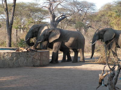 Route Zambia, Malawi en Tanzania, 24 dagen - Dag 13