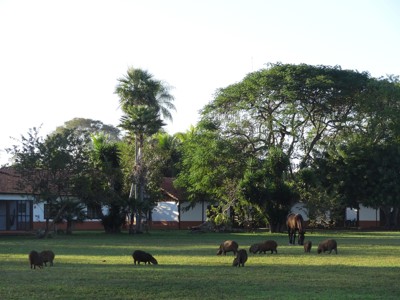 Route van Buenos Aires naar Rio - Day 12
