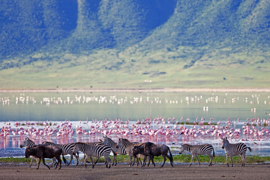 main_Ngorongoro.jpg