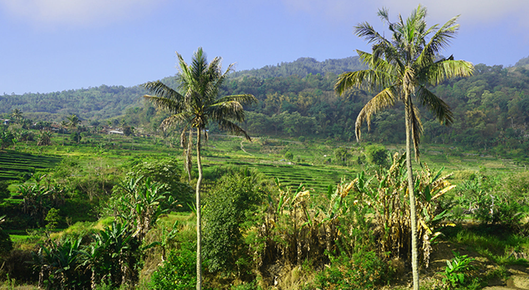 uitzicht groene heuvels - flores eiland