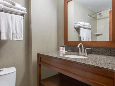 Canmore Inn - Badkamer