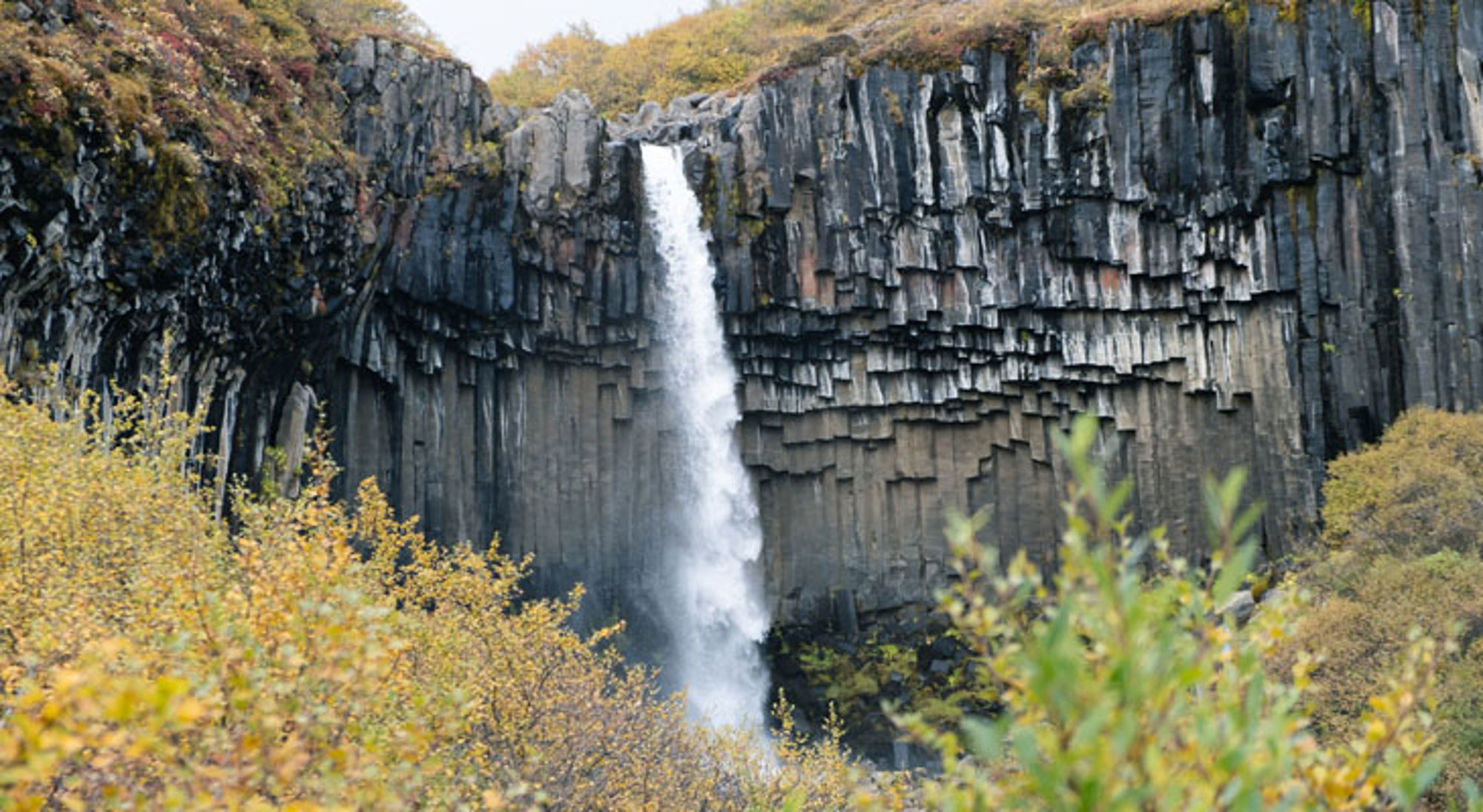 Svartifoss IJsland