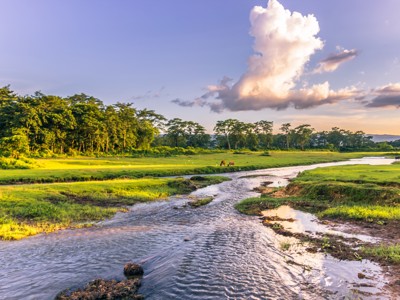 Nepal 22-35, 18 dagen - Day 12