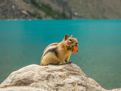 Route Canada, 20 dagen - Day 2