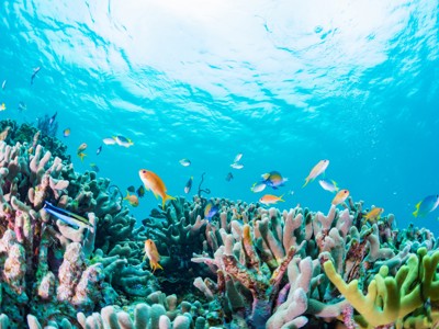 Australië reis route 1, 29 dagen - Day 26