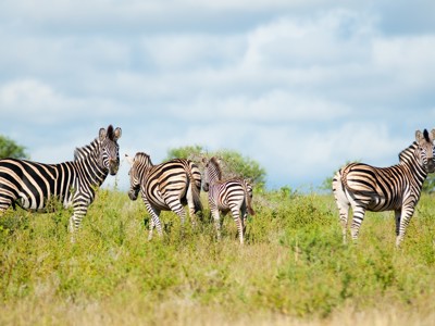 Route Kaapstad - Johannesburg, 17 dagen - Dag 15