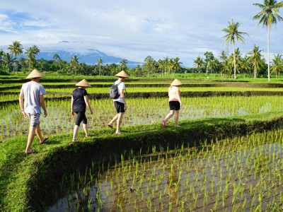 Route Sumatra, Java en Bali, 30 dagen - Day 20