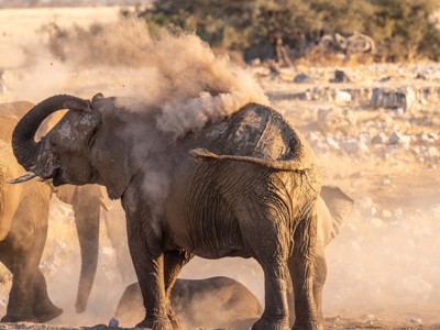 Route 22-35 Kenia & Tanzania, 20 dagen - Day 10