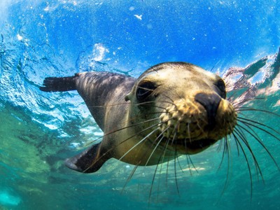 Route Ecuador en Galapagos, 22 dagen - Day 19