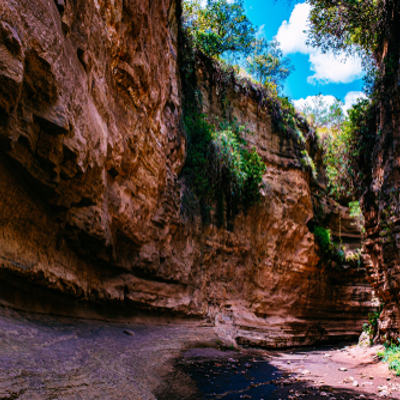 Excursie Hells Gate Nationaal Park