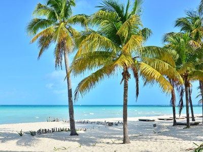 Route Mexico, 21 dagen - Dag 18