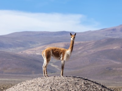 Route Argentinië, Bolivia en Peru, 28 dagen - Day 9